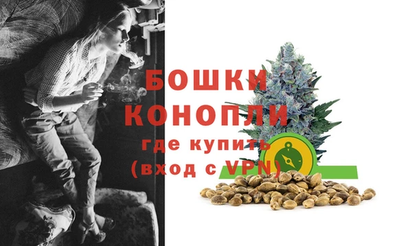 ГАЛЛЮЦИНОГЕННЫЕ ГРИБЫ Майский