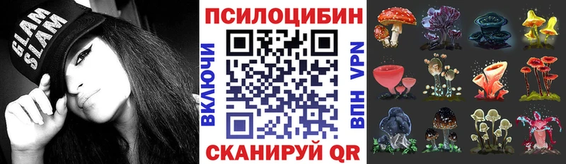 где продают   Черепаново  Псилоцибиновые грибы прущие грибы 